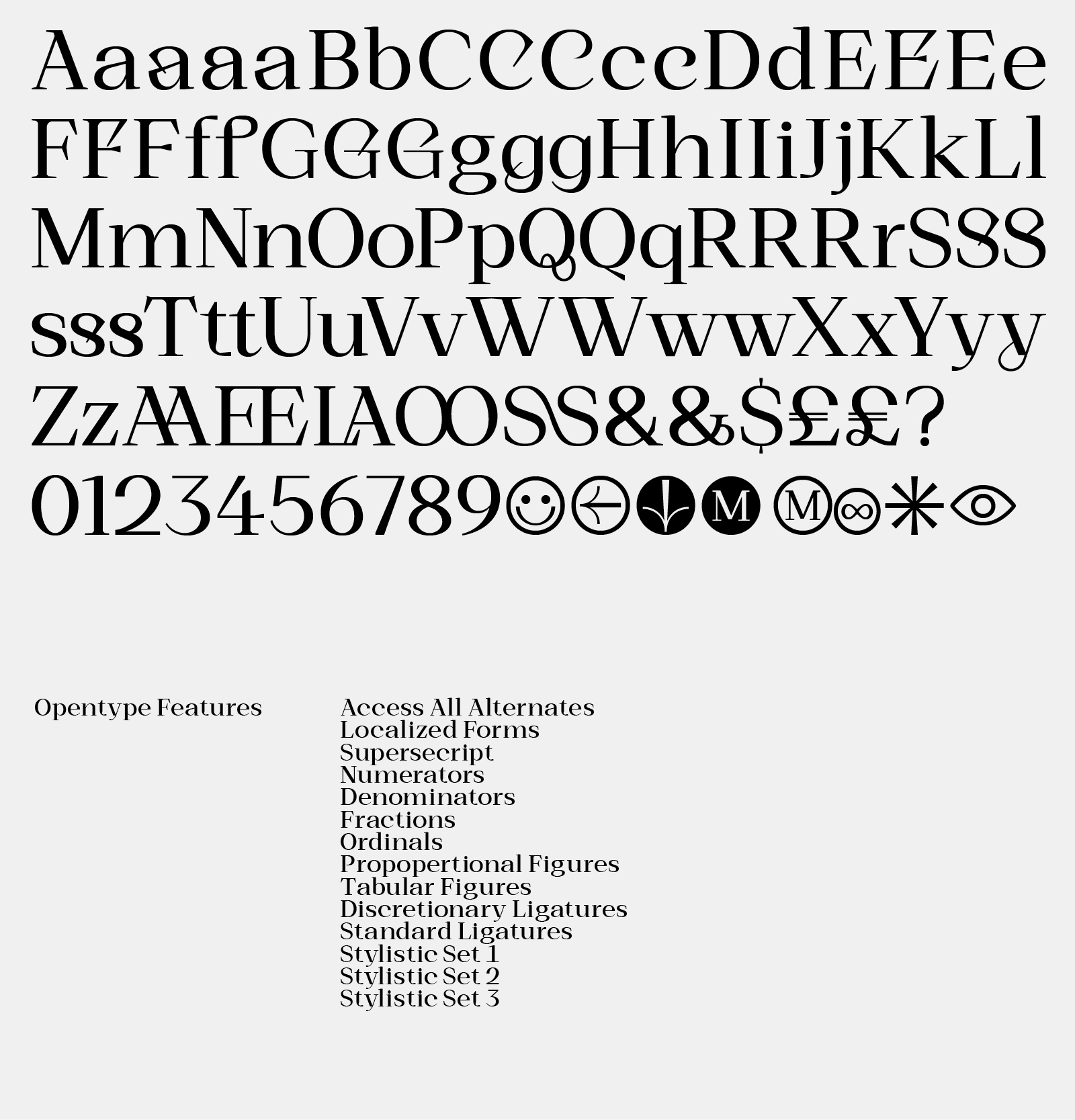 Hucks Serif 6